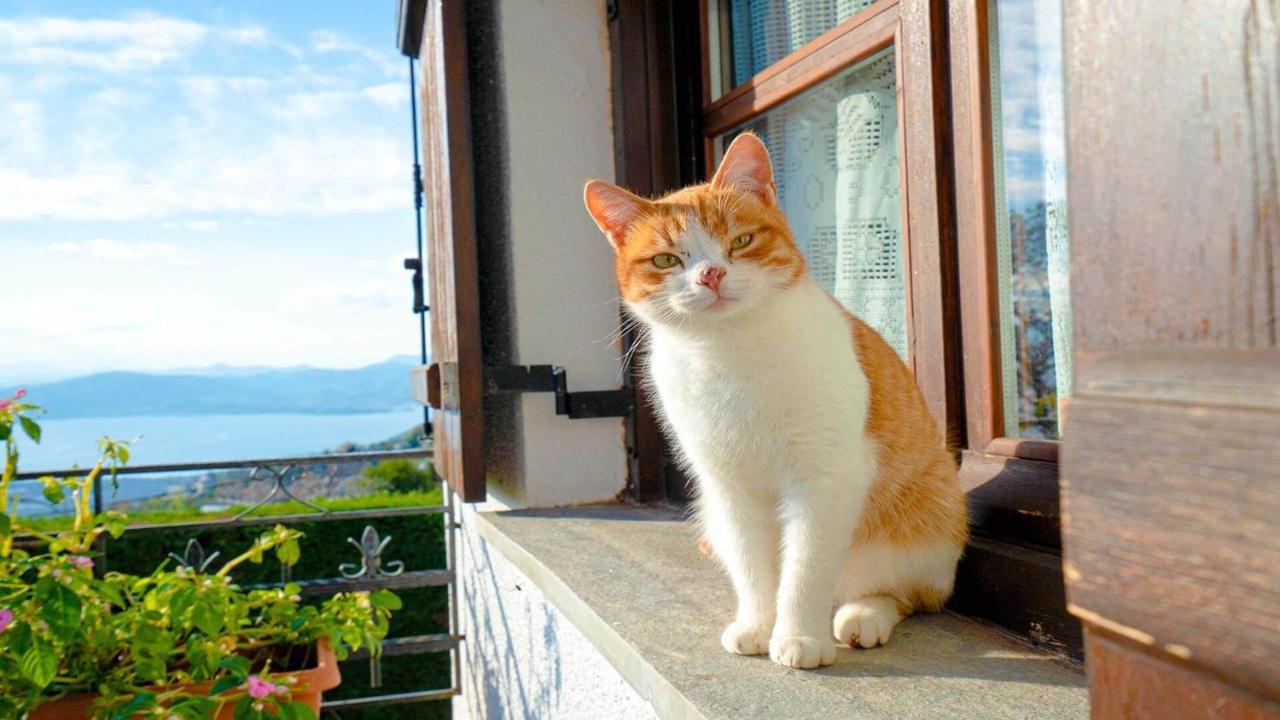 Apartamento Chrissi Nefeli Agios Georgios Nilias Exterior foto